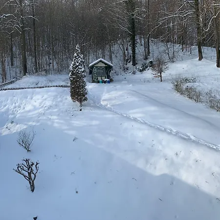 Martina 3* باد سودين أليندورف